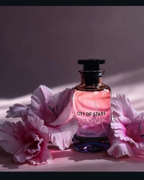 LOUI S VUITTO N CITY OF STARS XoticCollection