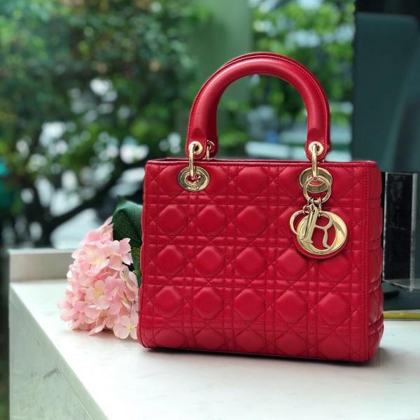 DIO R LADY SIGNATURE CELEB EDITION XoticCollection