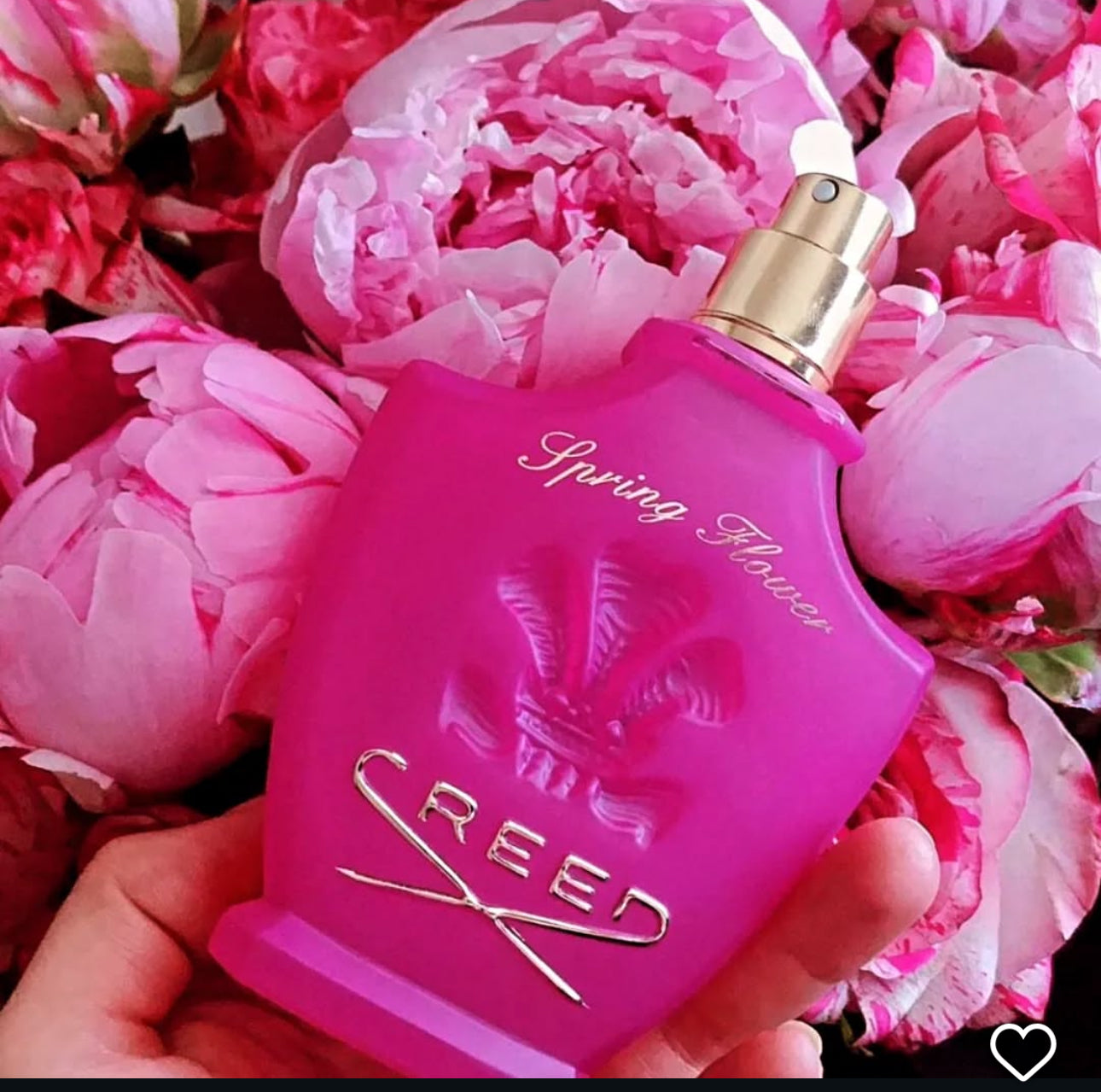 CREE D SPRING FLOWER XoticCollection